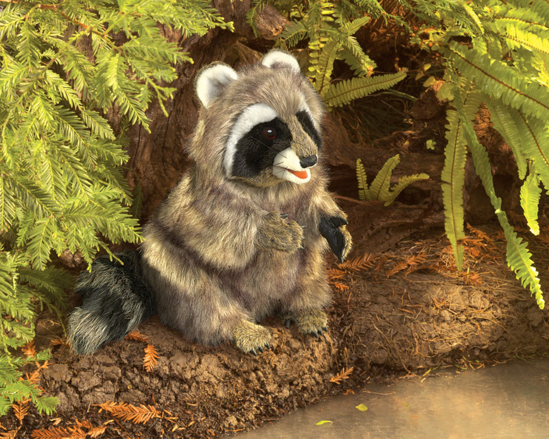 raccoon plush toy australia