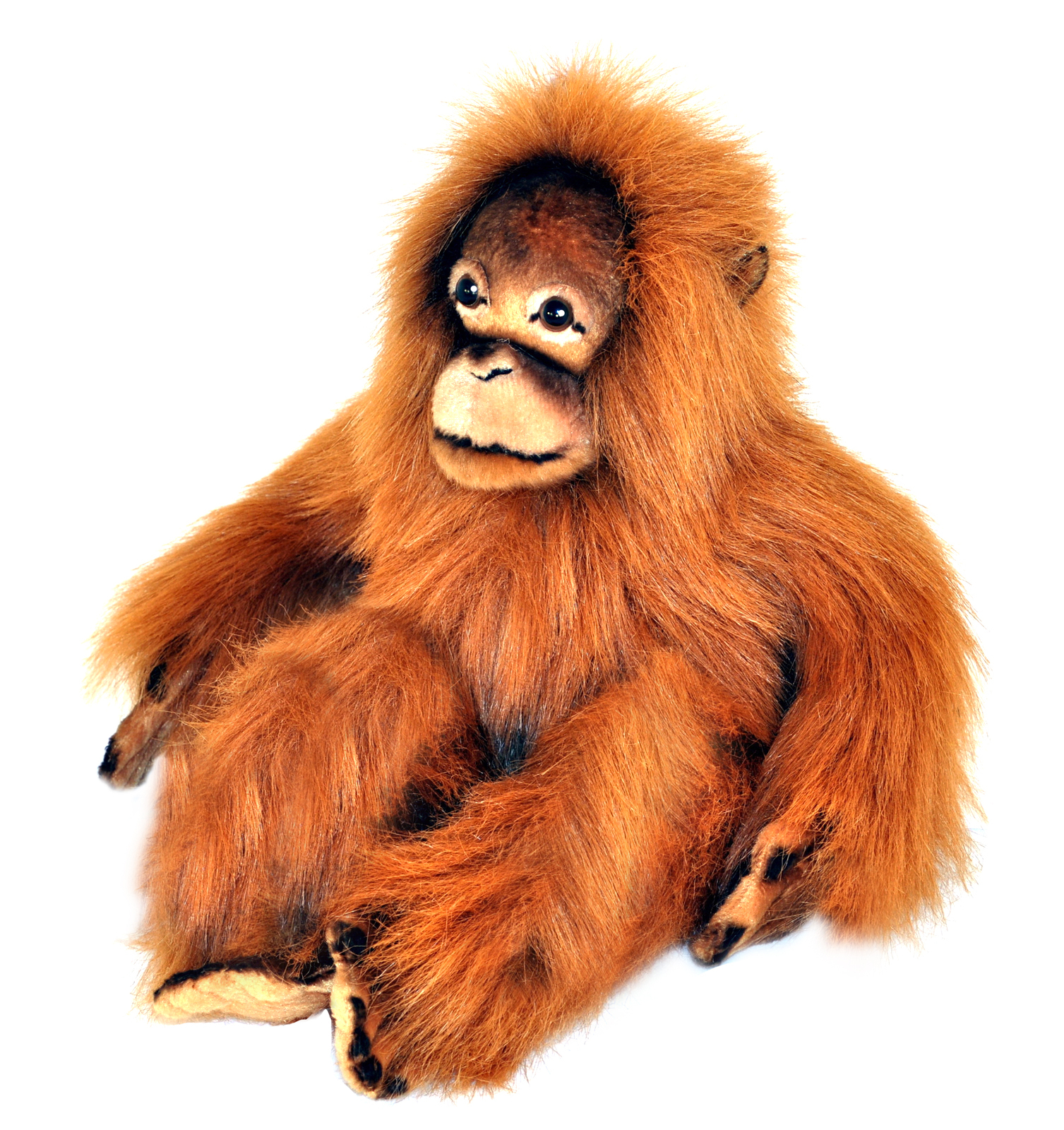 orangutan cuddly toy