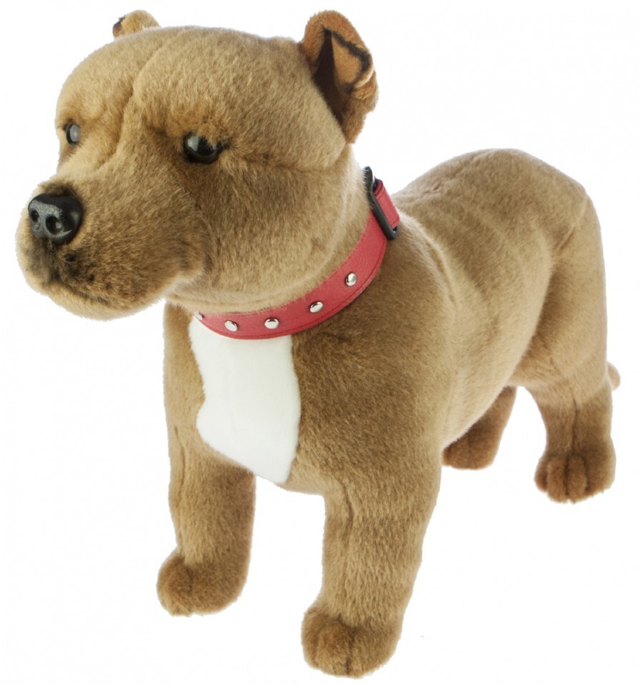 bull terrier toy