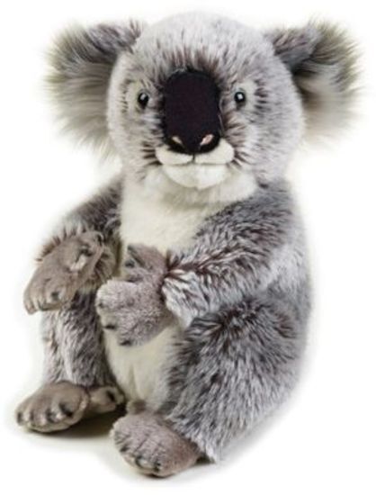 koala plushie