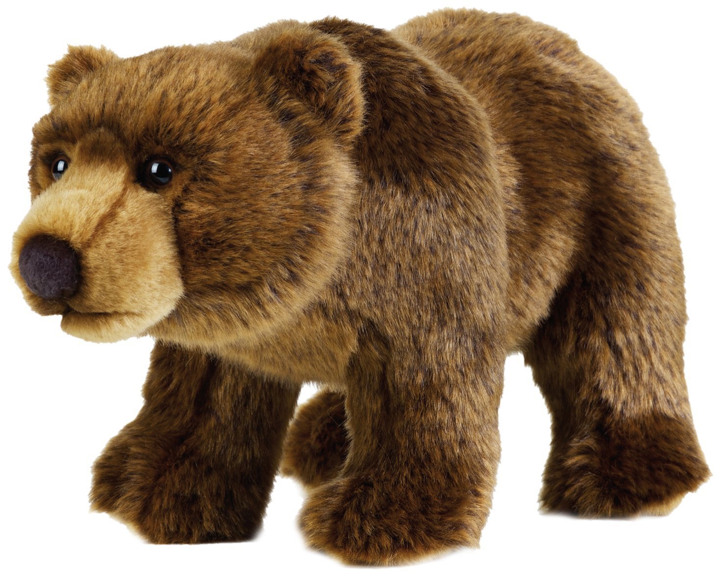 Buy National Geographic - Grizzly Bear Plush Toy 30cm