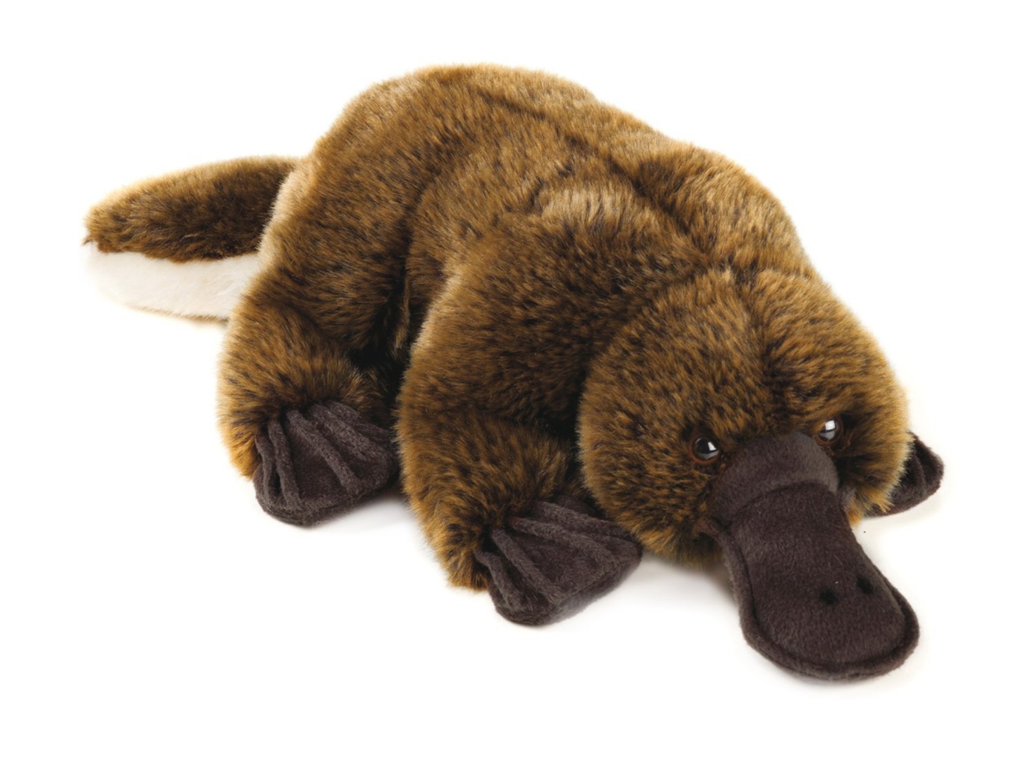 piumino brugi