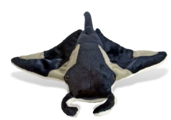 wild republic manta ray