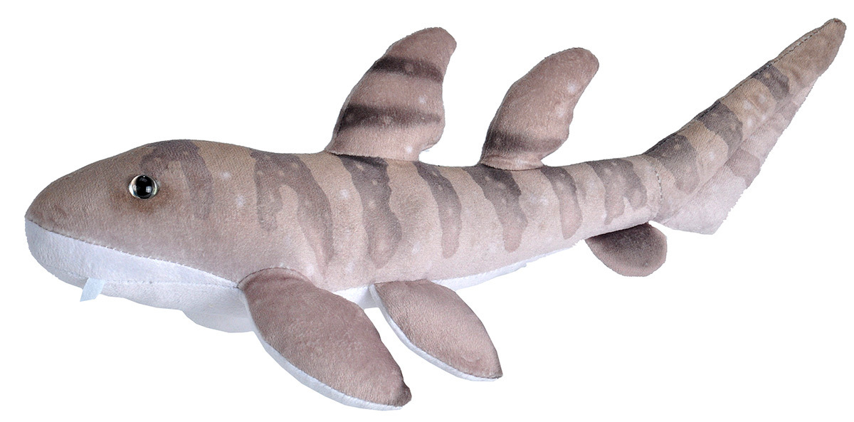 shark plush toy australia
