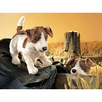 Folkmanis - Jack Russell Terrier Puppet