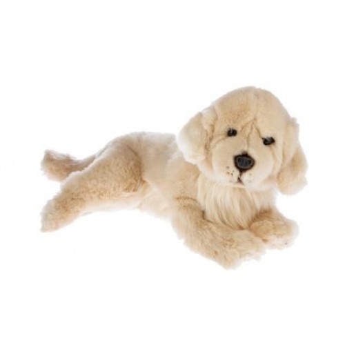 best toys for golden retriever puppies buy bocchetta honey golden retriever plush 40cm best toys for golden retriever puppies buy bocchetta honey golden retriever plush 40cm