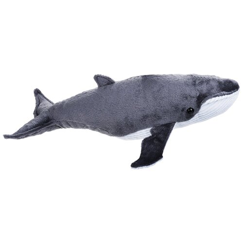 killer whale teddy