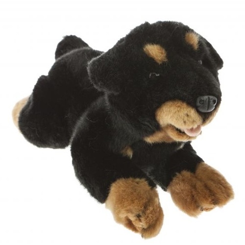 Bocchetta - Kujo Rottweiler Puppy Plush Toy 28cm