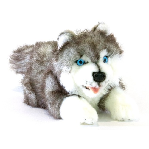 Bocchetta - Marbles Siberian Husky Plush Toy 30cm