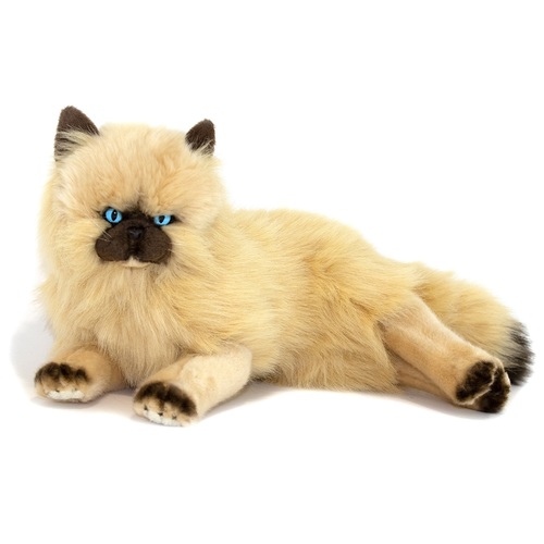 Bocchetta - Violet Himalayan Cat Lying Plush Toy 38cm