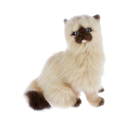 Buy Bocchetta - Toffee Himalayan Cat Sitting Plush Toy