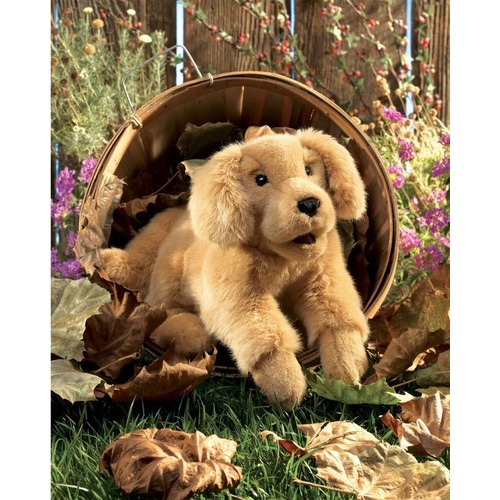 Folkmanis - Golden Retriever Puppy Puppet